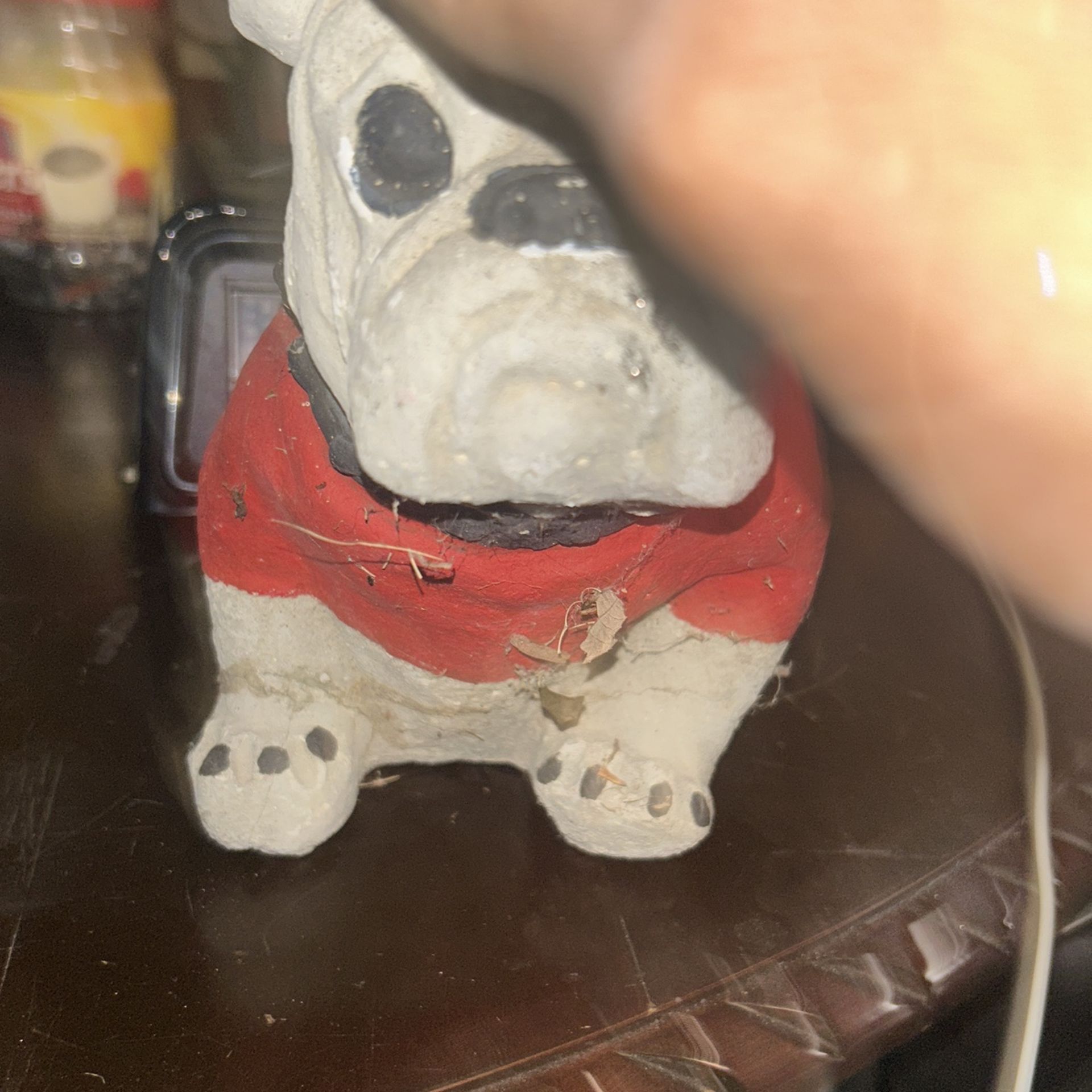 Bulldogs Mini