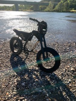 Throne rhino e-bike