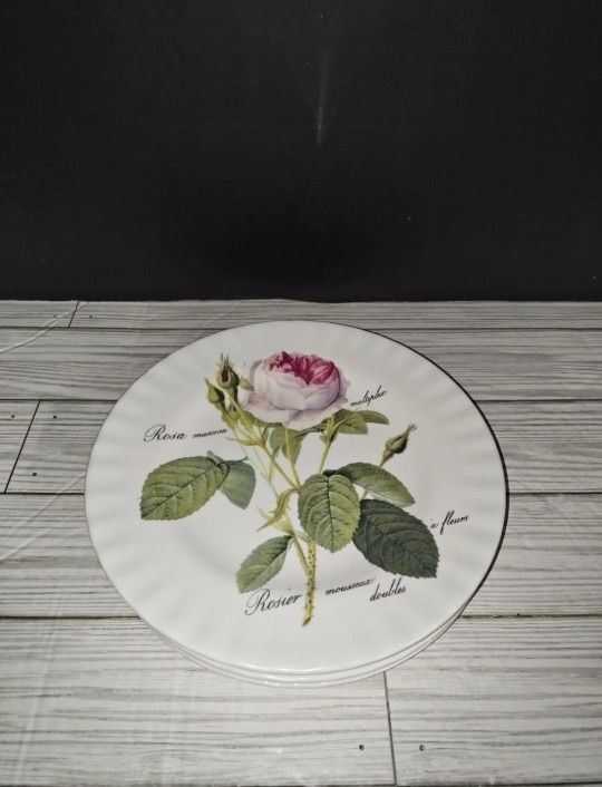 Roy Kirkham Redoute Roses Five 8” Plates Fine Bone China Made In England 1996