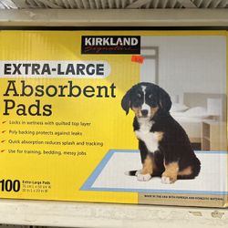 Kirkland 100 Absorbent Pads