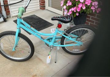 Raleigh Bicycle 20 inch