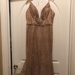 Champagne Glitter Sequin Dress 