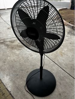 Fan