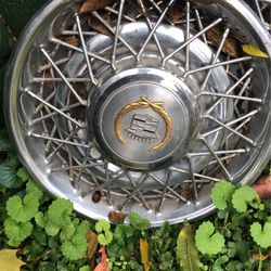 Fleetwood  Hubcaps 