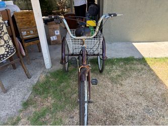 adult tricycle