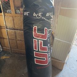 UFC punching Bag 