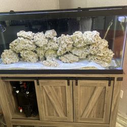 75 Gallons Aquarium Setup