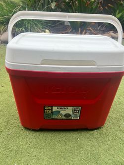 Igloo cooler holds 41 cans