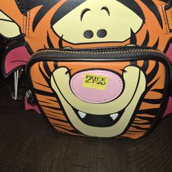 Disney lounge fly Bag Brand New  Ask For 25 