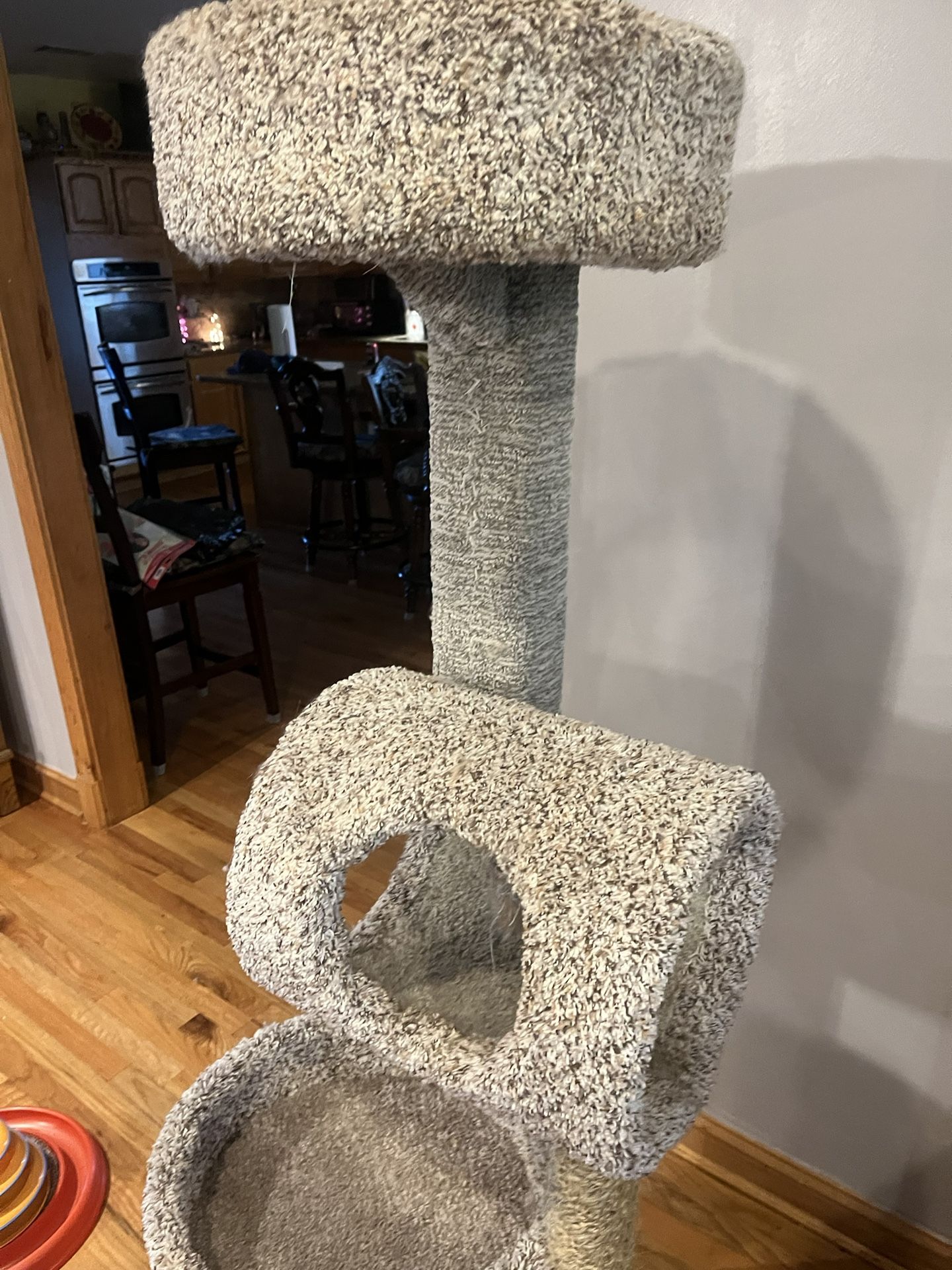 Cat Tower