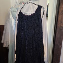 FREE Adult Clothing - Indigo Gown With Silver Shawl