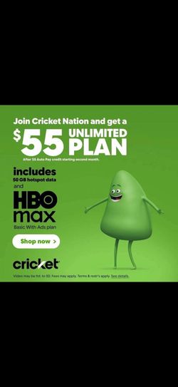 Cricket