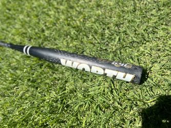 softball bat