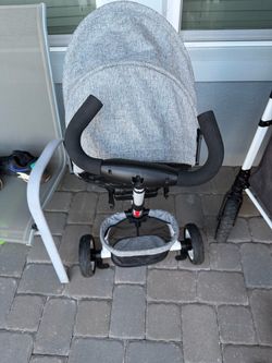 Elite trike  tricycle