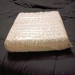 Diapers Costco Brand