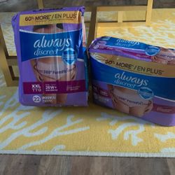 Feminine 22 Ct Disposable Underwear By Always Discreet 