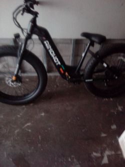 Fat tire bike