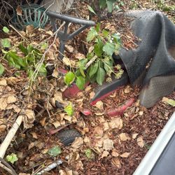 Snapper Machine Needs Motor Work FREE