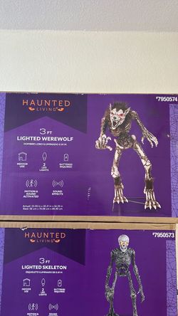 Halloween decorations