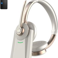 Bluetooth Headset with Microphone