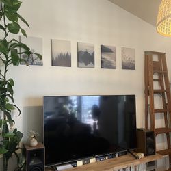 5 Nature Prints