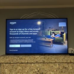 Insignia 60 Inch TV 