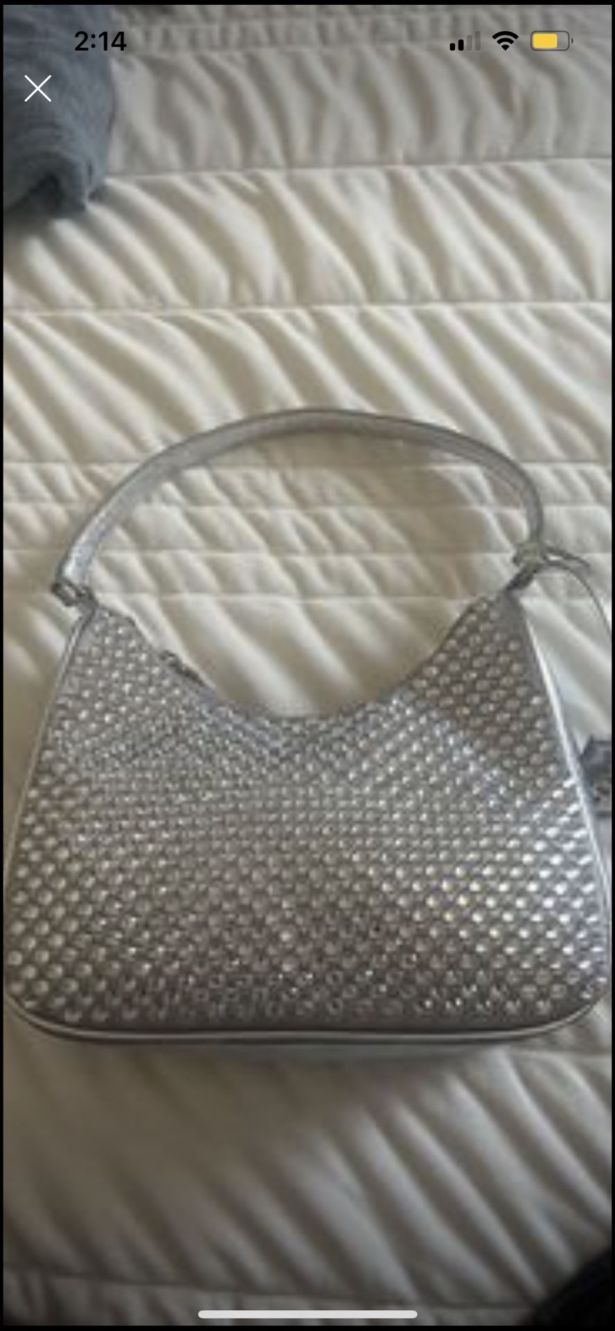 Steve Madden Purse 