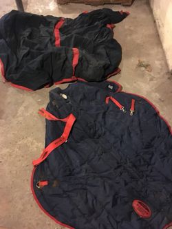 Weather Beeter Horse Blankets