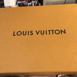 Louis Vuitton Box & Little Bag 
