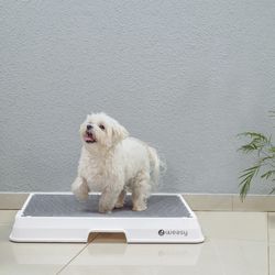 Weasy Smart Dog Potty