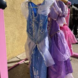 Disney Princess Dresses 