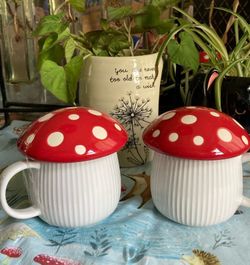 New-2-Mushroom Shaped White with Red / White Lid