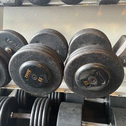 65lb Troy Pro-Style Dumbbells 