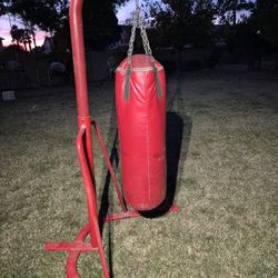 Century Punching Bag and Stand
