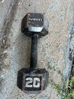 20lb Dumbbell