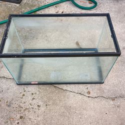10 Gallon Fish Tank with filter