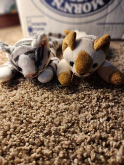 Beanie babies