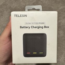 Go Pro hero batteries  and charger  obo