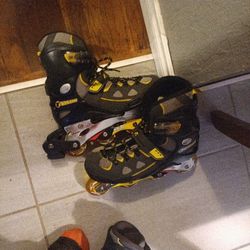Talon Rollerblades