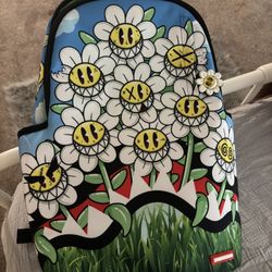 Spray Ground Back Pack