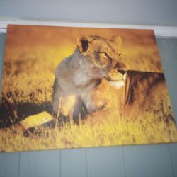 Lioness Painting 