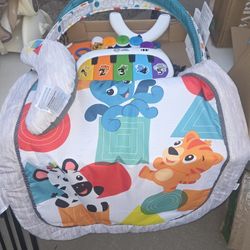 Baby Eibstein Play Mat