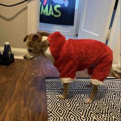 Dog Christmas Elk Costume