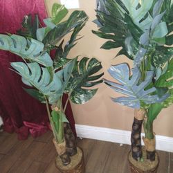 Faux Plants 