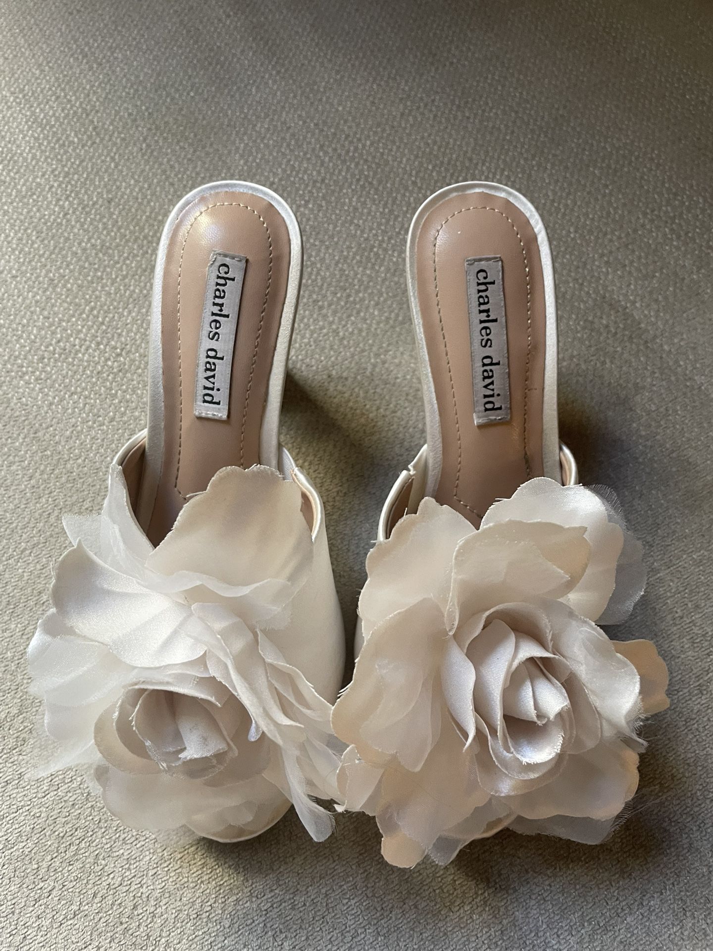 Charles David Women’s Shoes Size 6