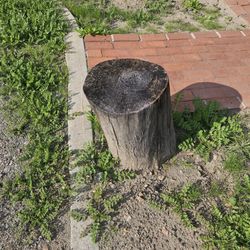 FREE Wood Stool