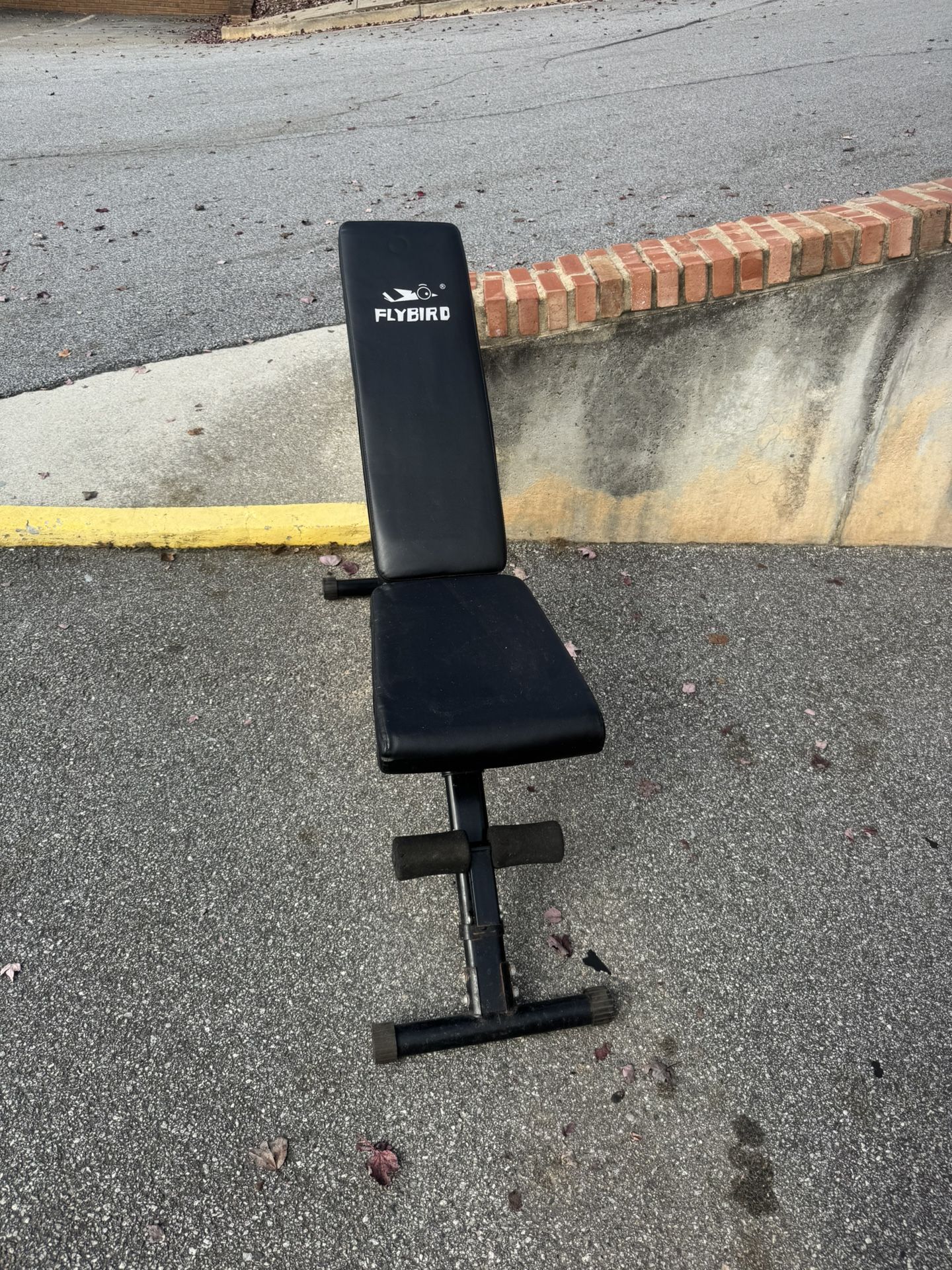 Fly Bird Weight Bench