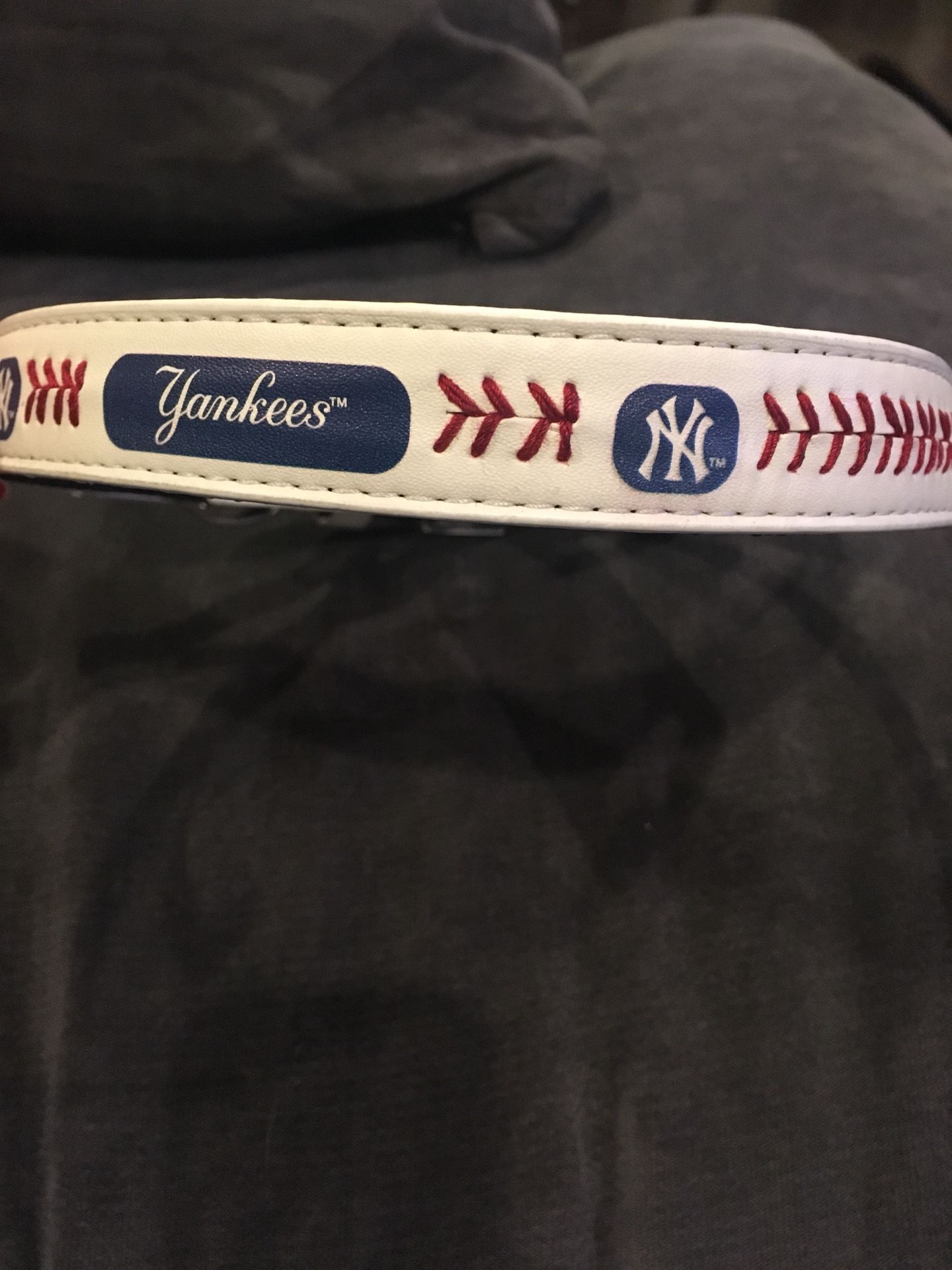 New York Yankees dog collar