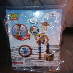Toy Story Round Up Fun 
