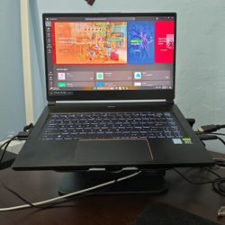 MSI Gaming/Workbook Laptop